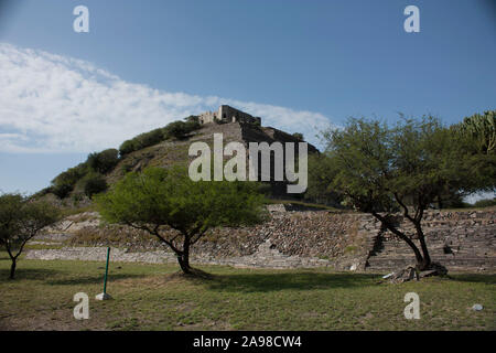 Zwischen Bäumen und Kakteen archäologische Zone in den Ruinen von El Cerrito in Mexiko Pyramide des Jahres 1000 nach Christus Stockfoto