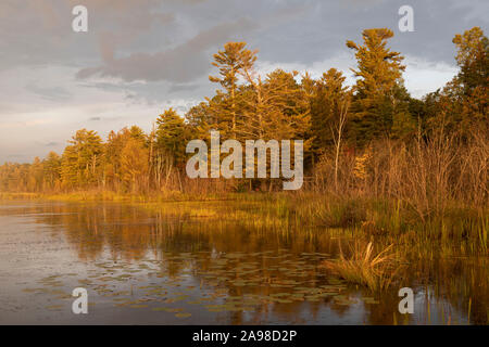 Sonnenuntergang über Feuchtgebiete, Bayfield County, Herbst, WI, USA, von Dominique Braud/Dembinsky Foto Assoc Stockfoto