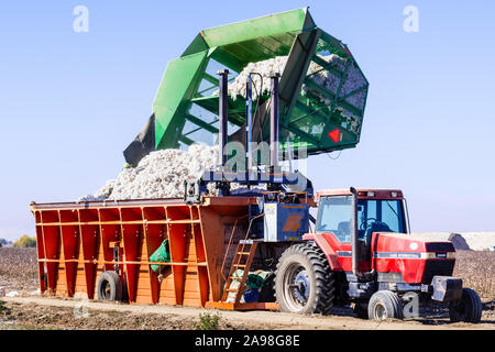 Nov 10, 2019 Merced/CA/USA - Arbeitnehmer die Vorbereitung für den Versand geerntete Baumwolle an einem Bauernhof in zentralen Kalifornien Stockfoto