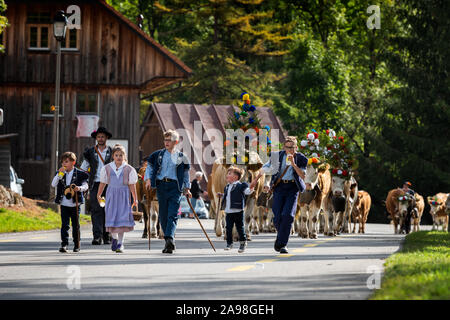 Charmey, Fribourg, Schweiz - 28 September 2019: Landwirte mit einer Herde von Kühen auf der jährlichen Wanderhaltung in Charmey in der Nähe von bulle, Freiburg Zone auf Stockfoto