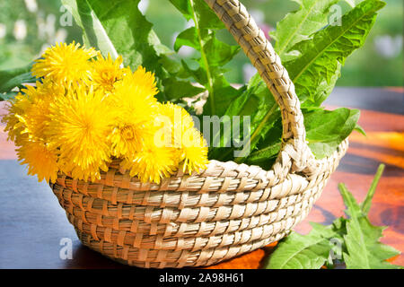 Löwenzahn und Korb Nahaufnahme Stockfoto