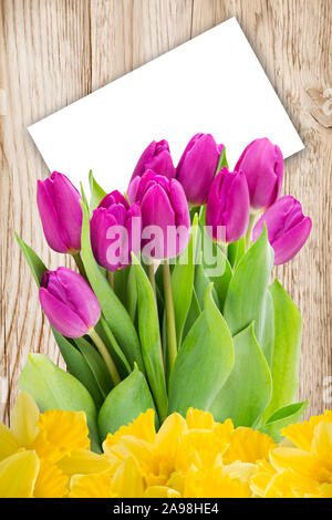 Tulpen und Narzissen mit white label Hintergrund Stockfoto