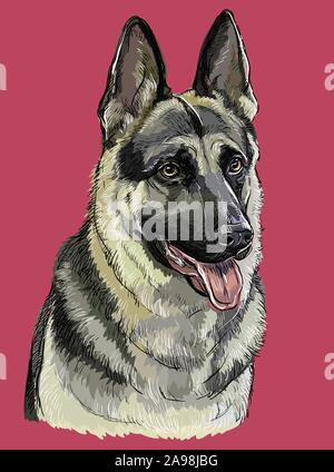 Bunte Deutscher Schäferhund Vektor hand Zeichnung portrait. Isolierte Vector Illustration auf maroon Hintergrund. Vektor realistische Abbildung der Deutschen Shep Stock Vektor