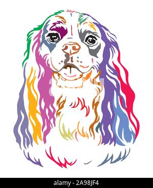 Bunt dekorativ Kontur outline Portrait von Dog Cavalier King Charles Spaniel, Vector Illustration in verschiedenen Farben isoliert auf weißem backgroun Stock Vektor