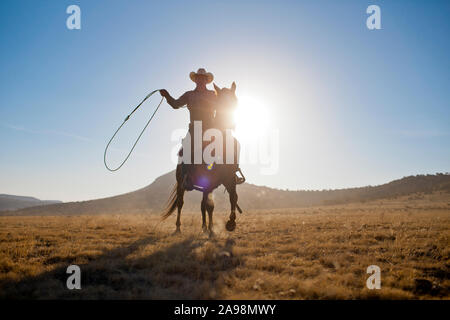 Rancher Holding ein Lasso beim Reiten eines Pferdes. Stockfoto