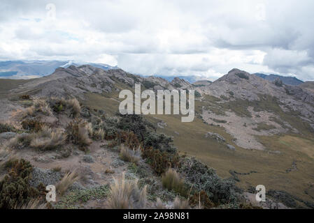 Paramo in der Chimborazo Reserve (Reserva de Producción de Fauna Chimborazo) auf 4300 Meter gerade am Fuße des Chimborazo Vulkan in Ecuador. Stockfoto