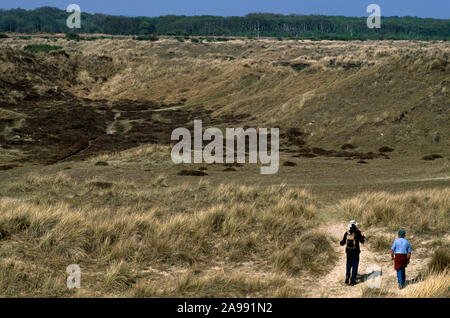 WINTERTON DÜNEN NATIONAL NATURE RESERVE Norfolk, England. (Lebensraum der Kreuzkröte) Stockfoto