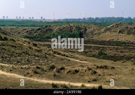 WINTERTON DÜNEN NATIONAL NATURE RESERVE Norfolk, England. (Lebensraum der Kreuzkröte) Stockfoto