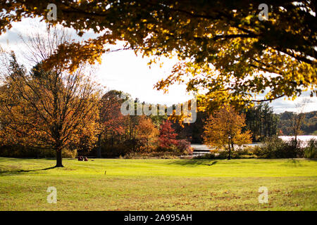 Einen sonnigen Herbst Tag am See Waban auf dem Campus der Wellesley College in Wellesley, Massachusetts. Stockfoto