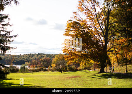 Einen sonnigen Herbst Tag am See Waban auf dem Campus der Wellesley College in Wellesley, Massachusetts. Stockfoto