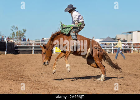 Cowboy reitet ein Ruckeln Pferd in Bareback bronc Veranstaltung in einem Land Rodeo Stockfoto