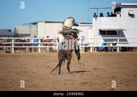 Cowboy reitet ein Ruckeln Pferd in Bareback bronc Veranstaltung in einem Land Rodeo Stockfoto