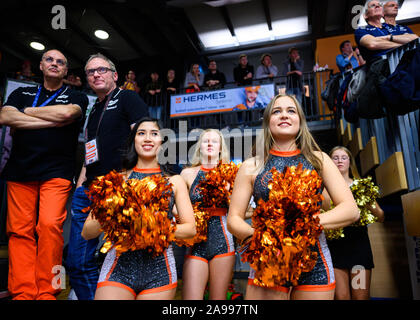 Vechta, Deutschland. 12 Nov, 2019. Die Tänzer der Marleys, Cheerleadern der Basketballmannschaft RASTA Vechta, werden während der Champions League Match zwischen Vechta und die türkische Mannschaft Bandirma B.I.K. in der Sporthalle. Credit: mohssen Assanimoghaddam/dpa/Alamy leben Nachrichten Stockfoto