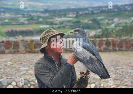 Vogel handler und rettete schwarz-chested Bussard Eagle (geranoaetus Melanoleucus), Parque Condor, Otavalo, Ecuador Stockfoto