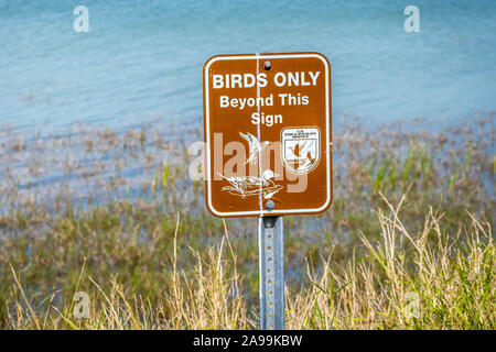 Laguna Atascosa NWR, TX, USA - März 30, 2019: ein Warnschild bei Alligator Sichtung Stockfoto