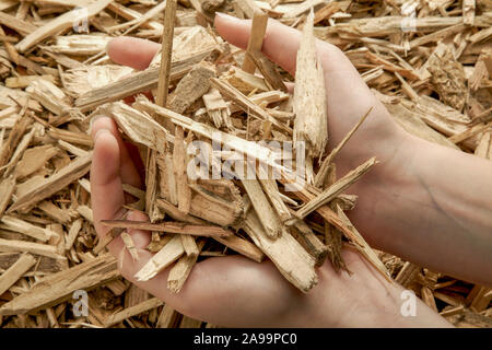 Hackschnitzel Stockfoto