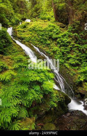 Wasserfall im Olympic National Park, Washington, USA Stockfoto