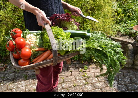 Dame mit einem trug voller Gemüse in einem Garten Stockfoto