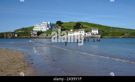 Eine Gruppe von wilden Schwimmer das Meer rund um Burgh Island, schwimmen Bigbury-on-Sea, Devon, Großbritannien Stockfoto