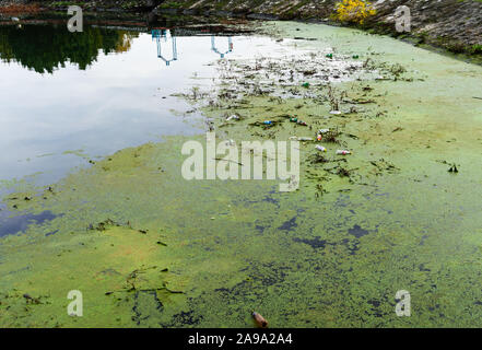 Plastik Müll im Fluß, Umweltverschmutzung und Umweltschutz Konzept. Verschmutzten Fluss, dreckigen Fluss. Stockfoto