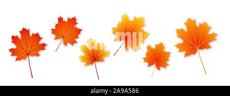 Satz von Herbst Ahorn Blätter, auf einem weißen Hintergrund. Vector Illustration. Ahornblätter mit Schatten Stock Vektor
