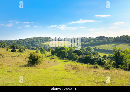 Farthing Downs, Teil der South London Downs National Nature Reserve, bestehend aus 121 Hektar Landschaft entlang der Grenze von Surrey und Croydon, Großbritannien Stockfoto