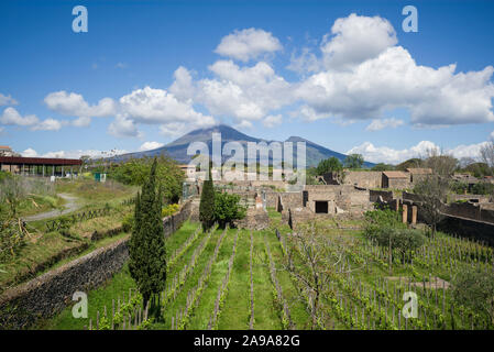 Pompei. Italien. Archäologische Stätte von Pompeji. Blick auf den Südlichen Bezirk mit Reben auf alten Weinbergslagen gepflanzt, den Vesuv in der Ba Stockfoto