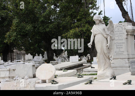 Kuba, Havanna, 11,15,2018, Gräbern und Gedenkstätten in Nekropole Cristobal Colon Lateinamerikas größte Friedhof Stockfoto