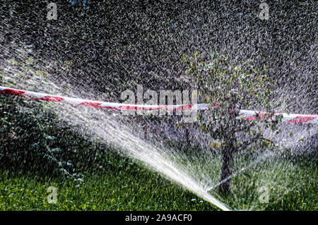 Wasser sprühen aus einem Sprinkler Stockfoto