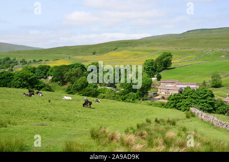 Der Weiler von Cray, Obere Wharfedale, North Yorkshire Stockfoto