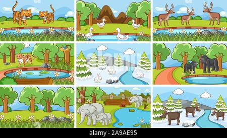 Hintergrund Szenen der Tiere in freier Wildbahn Abbildung Stock Vektor