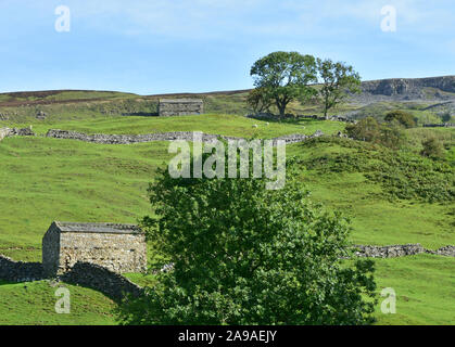 Scheunen in Swaledale Landschaft bei Gunnerside, North Yorkshire Stockfoto