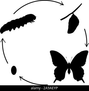 Schmetterling Geburt. Silhouetten Schmetterling Raupe und Cocoon. Vektor Illustrator Stock Vektor