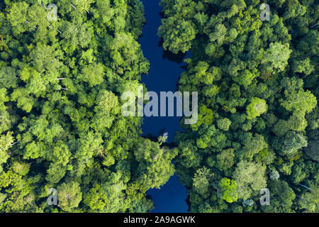 Ansicht von oben, beeindruckende Luftaufnahme von tropischen Regenwald mit dem Sungai Tembeling Fluss fließt. Stockfoto