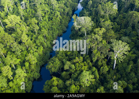 Ansicht von oben, beeindruckende Luftaufnahme von tropischen Regenwald mit dem Sungai Tembeling Fluss fließt. Stockfoto