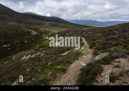Blick auf den Weg nach Lochnagar, einem Munro in Aberdeenshire, Schottland. Stockfoto