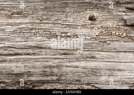 Erodierte Holz Oberfläche, grunge Holz- Textur als Hintergrund verwendet werden dürfen Stockfoto