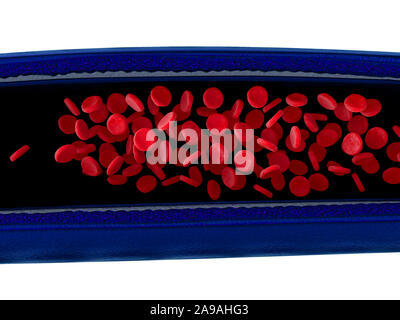 Arterie mit einem abgetrennten Bereichs, hochwertige Rendering mit original Texturen und Global Illumination gezeigt Stockfoto