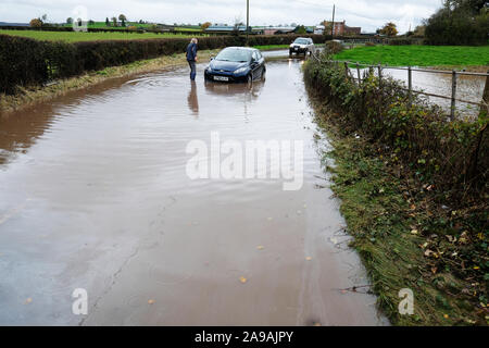 Bodenham, Herefordshire, UK - Am Donnerstag, den 14. November 2019 - ein Autofahrer hält, um die Bewohner eines kleinen blauen Ford Fiesta Auto in tiefem Wasser auf einer Landstraße in der Nähe des Dorfes Bodenham klemmt nach weiteren Regen auf bereits gesättigten Bereichen fiel. Foto Steven Mai/Alamy leben Nachrichten Stockfoto