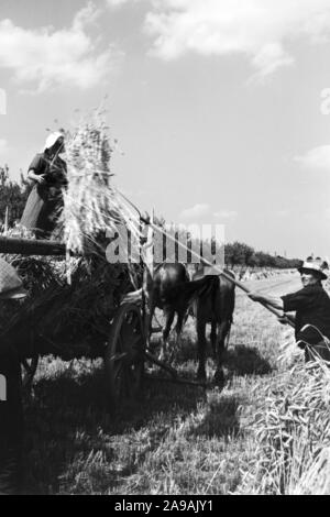 Szenen der Countrified Arbeitsalltag, Deutschland 1930. Stockfoto