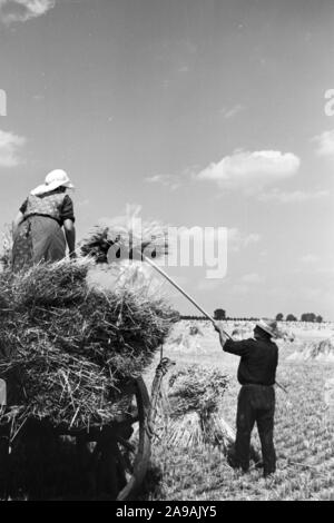 Szenen der Countrified Arbeitsalltag, Deutschland 1930. Stockfoto