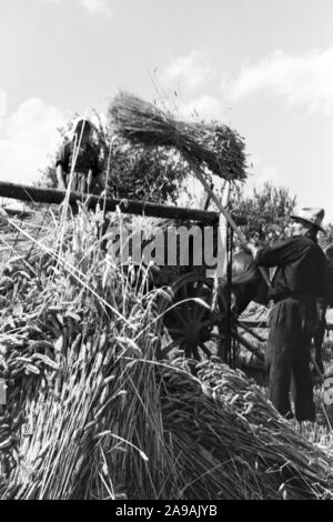 Szenen der Countrified Arbeitsalltag, Deutschland 1930. Stockfoto