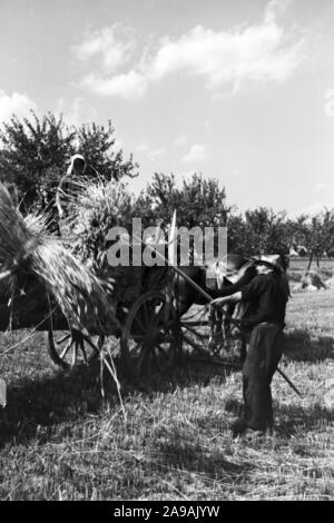 Szenen der Countrified Arbeitsalltag, Deutschland 1930. Stockfoto