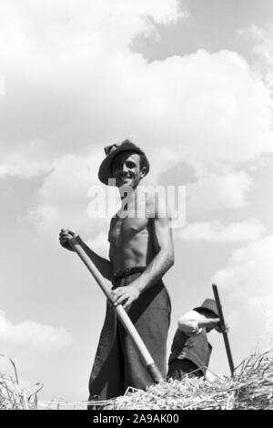 Szenen der Countrified Arbeitsalltag, Deutschland 1930. Stockfoto