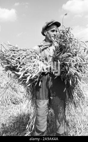 Szenen der Countrified Arbeitsalltag, Deutschland 1930. Stockfoto