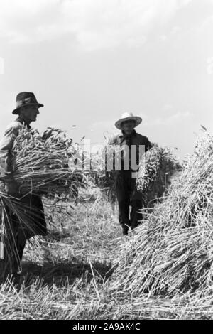 Szenen der Countrified Arbeitsalltag, Deutschland 1930. Stockfoto