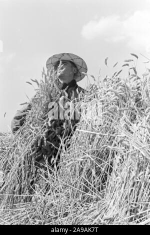 Szenen der Countrified Arbeitsalltag, Deutschland 1930. Stockfoto