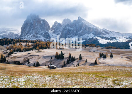 Wunderschöne Herbstlandschaft in Seiser Alm oder Seiser Alm mit Langkofel - Langkofel Berg Gruppe im Hintergrund in den Dolomiten, Südtirol, Italien. Stockfoto