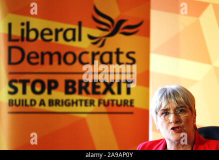 Präsident der Liberalen Demokraten, Sal Brinton, bei der Enthüllung des Plans der Liberaldemokratischen Partei für Gleichstellung und Menschenrechte Glaziers Hall in London. PA-Foto. Bild Datum: Donnerstag, November 14, 2019. Siehe PA Geschichte Politik Wahl. Photo Credit: Aaron Chown/PA-Kabel Stockfoto