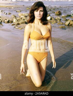 RAQUEL WELCH IN DER GRÖSSTEN BÜNDEL VON ALLEN (1968), unter der Regie von KEN ANNAKIN. Credit: MGM /Album Stockfoto